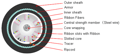 Ribbon Slot Armored Cable (Double Sheathed)